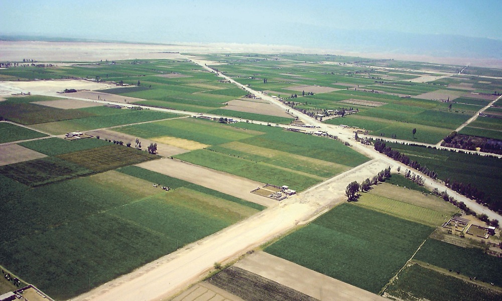 AMPLIACIÓN DE LA FRONTERA AGRÍCOLA LOMAS DE ILO-MOQUEGUA