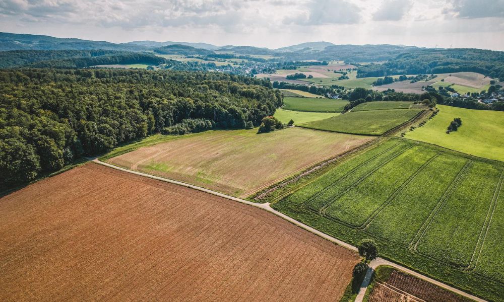 SUPERVISIÓN DEL EXPEDIENTE TÉCNICO DEL SISTEMA DE IRRIGACIÓN DEL VALLE DE ZAÑA