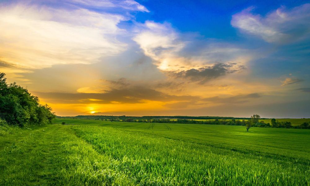 SUPERVISIÓN DE LA OBRA DE IRRIGACIÓN SAN ANTONIO DE HUARANGO