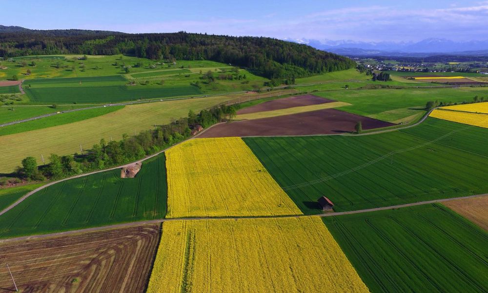 PROYECTO DE IRRIGACIÓN OLMOS