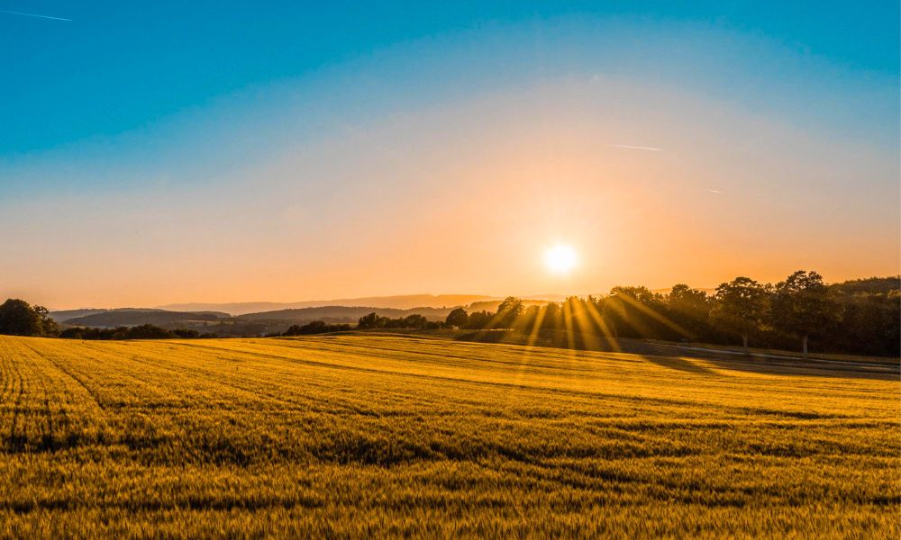 RECONSTRUCCIÓN DE LA BOCATOMA LA PALMA