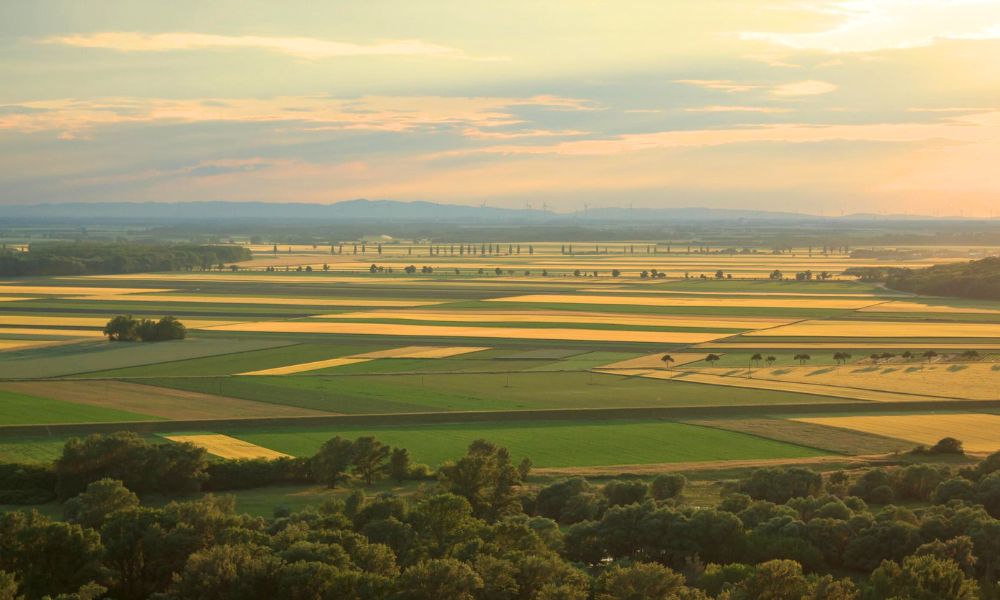 REMODELACIÓN DE LA BOCATOMA NUEVO IMPERIAL