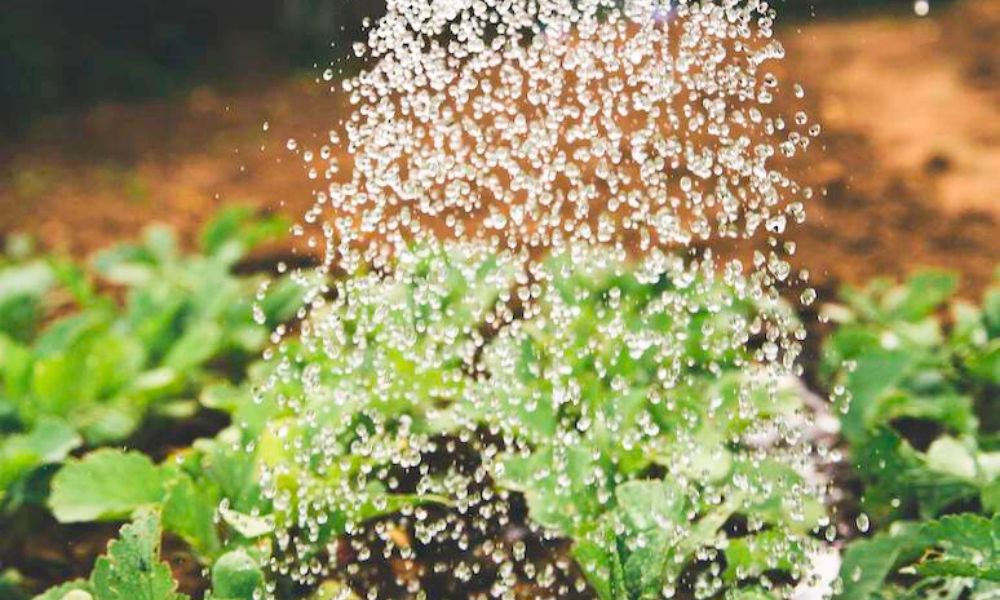 AGUA POTABLE Y ALCANTARILLADO DE CHUQUIBAMBILLA