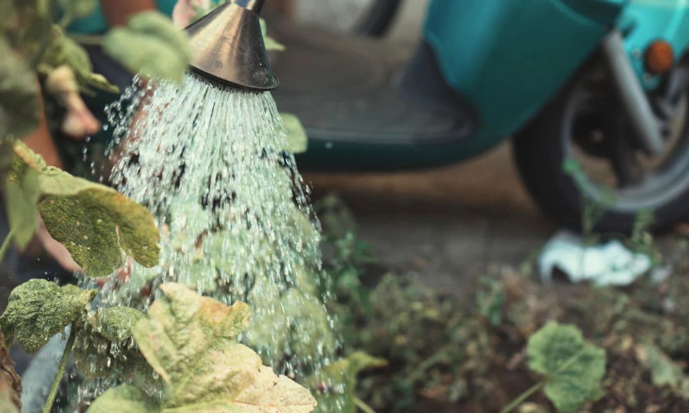AGUA POTABLE Y ALCANTARILLADO EN MOYOBAMBA