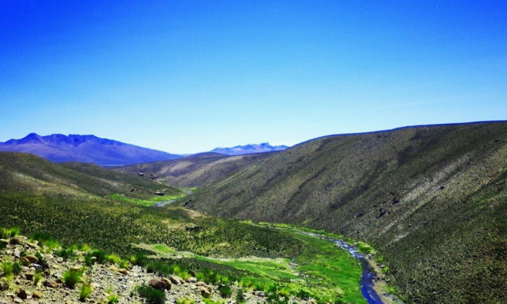 DESCONTAMINACIÓN DEL RÍO MAURE